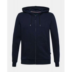 Sweat à capuche Champion 100% Coton Bio - Coupe Regular Homme
